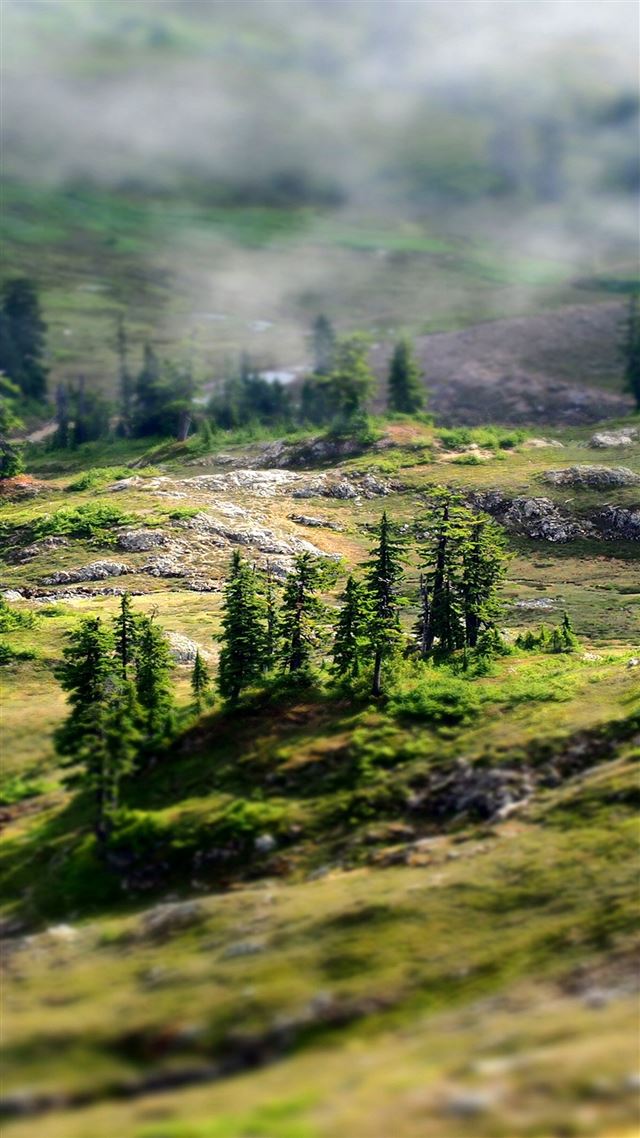 1080x1920 Mountain country spring forest - gray iPhone 8 Wallpaper
