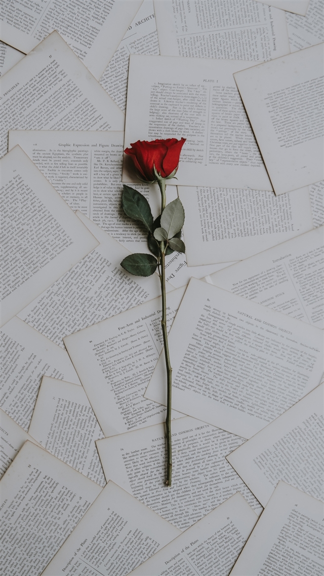 1080x1920 Rose books texts -  iPhone 8 Wallpaper