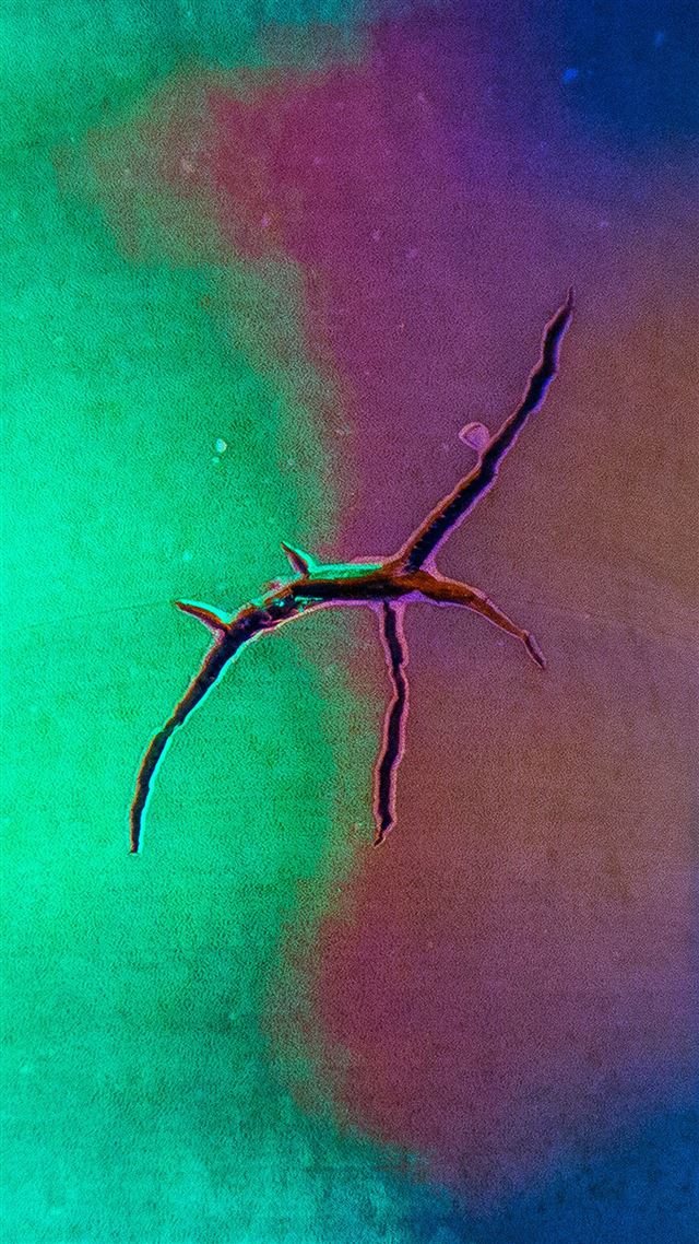 1080x1920 Rainbox crack abstract green pattern background - aesthetic iPhone 8 Wallpaper
