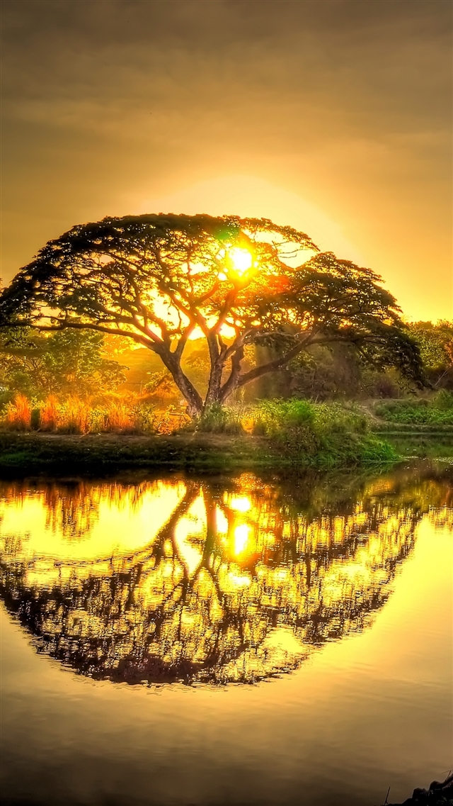 1080x1920 Sunset pond trees landscape - pond iPhone 8 Wallpaper