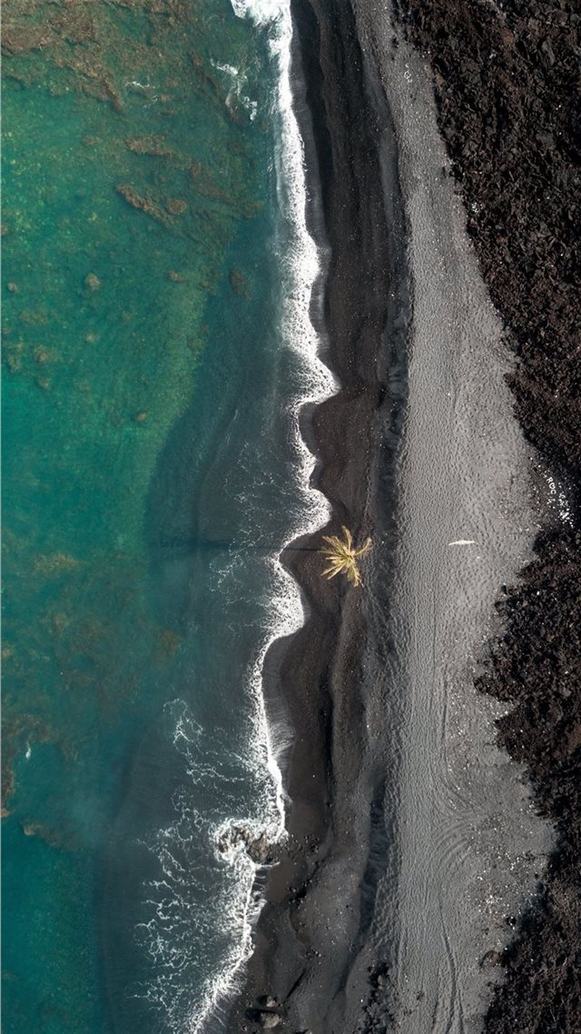 1080x1920 Lone Palm - aerial view iPhone 8 Wallpaper