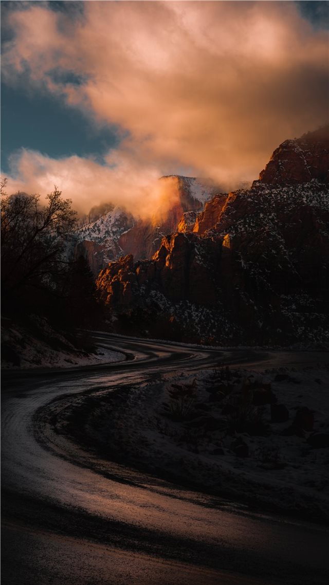 1080x1920 Zion S - tree iPhone 8 Wallpaper