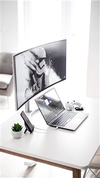 Timișoara  Romania wallpaper