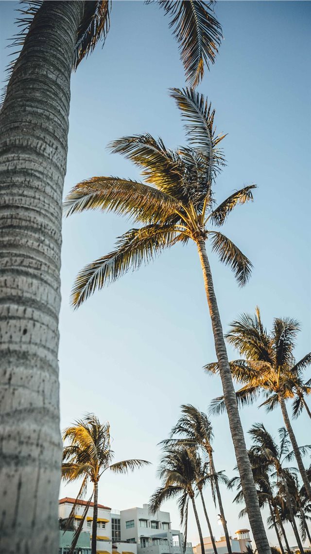 1080x1920 Miami Beach  United States - miami iPhone 8 Wallpaper