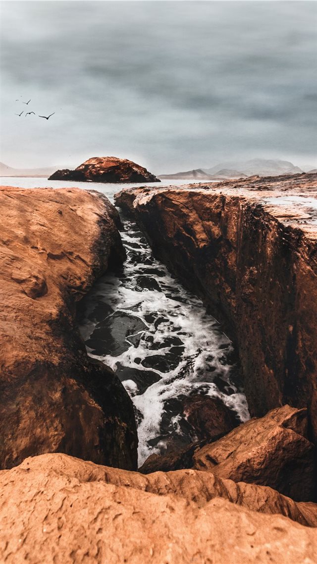 1080x1920 Coleccionando momentos en Paracas - bird iPhone 8 Wallpaper