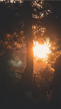 Golden Hour in the City wallpaper