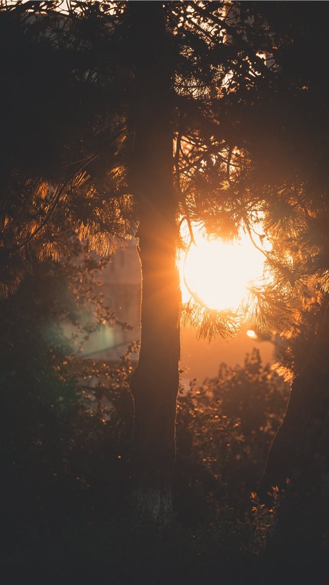 1080x1920 Golden Hour in the City - sunlight iPhone 8 Wallpaper