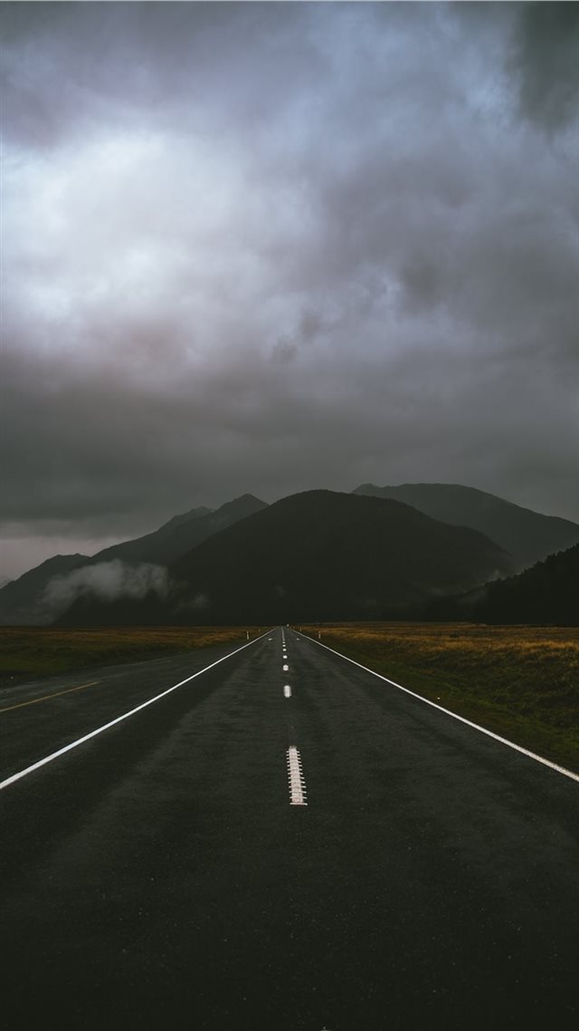 1080x1920 Roadtrip - tree iPhone 8 Wallpaper