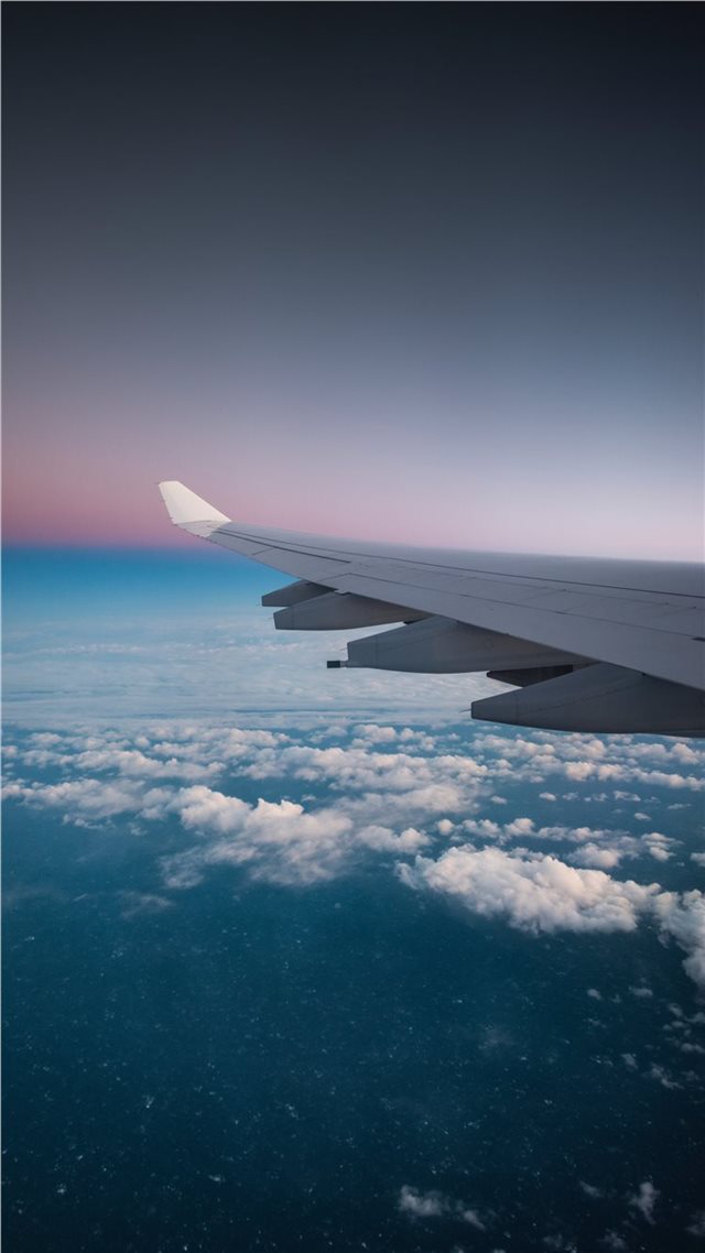 1080x1920 Early bird - wing iPhone 8 Wallpaper