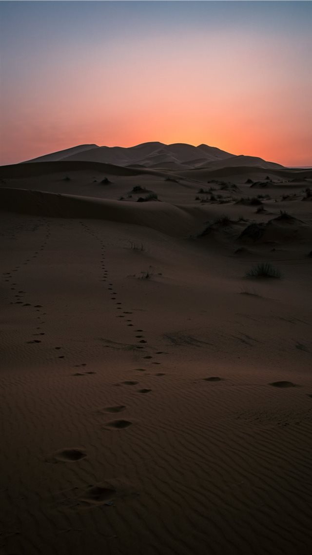 1080x1920 Desert Sunset - explore iPhone 8 Wallpaper