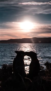 Patrick Hendry wallpaper