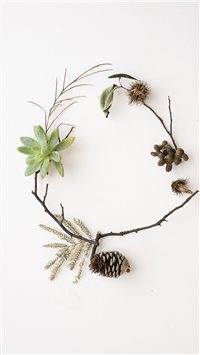 Nature flatlay wallpaper