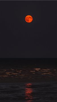 Orange wallpaper