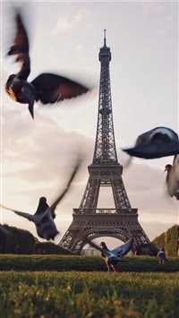 Take off wallpaper