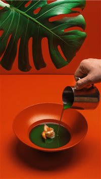 burst studio  Tallinn  Estonia wallpaper