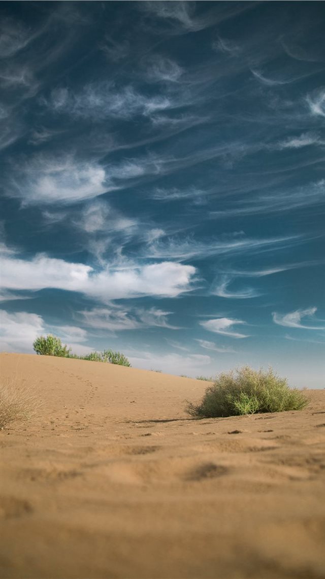 1080x1920 Jaisalmer  India - bush iPhone 8 Wallpaper