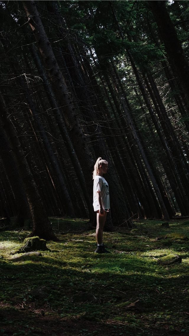 1080x1920   - tree iPhone 8 Wallpaper