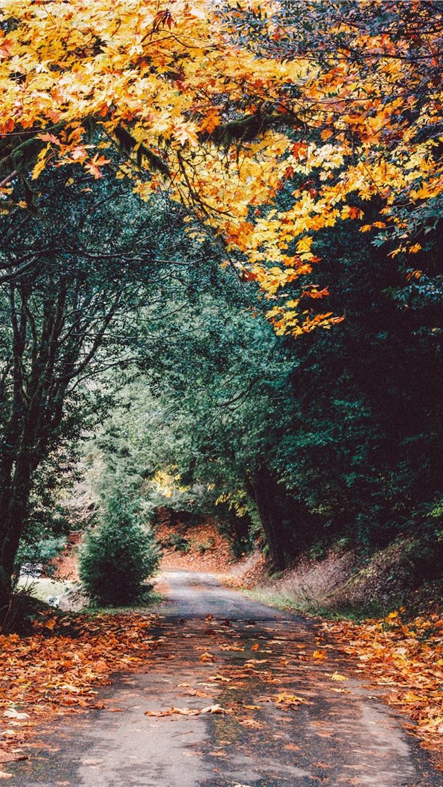 1080x1920 Elk River Campground  Port Orford  United States - driving iPhone 8 Wallpaper