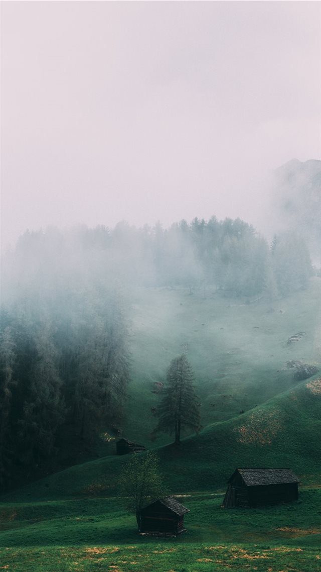 1080x1920 Greeny foggy - spring iPhone 8 Wallpaper