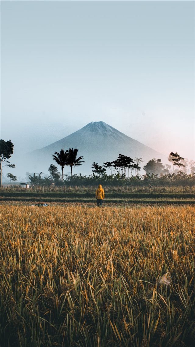 1080x1920 BEAUTIFUL MORNING WITH THE SEMERU MOUNTAIN - wallpaper iPhone 8 Wallpaper