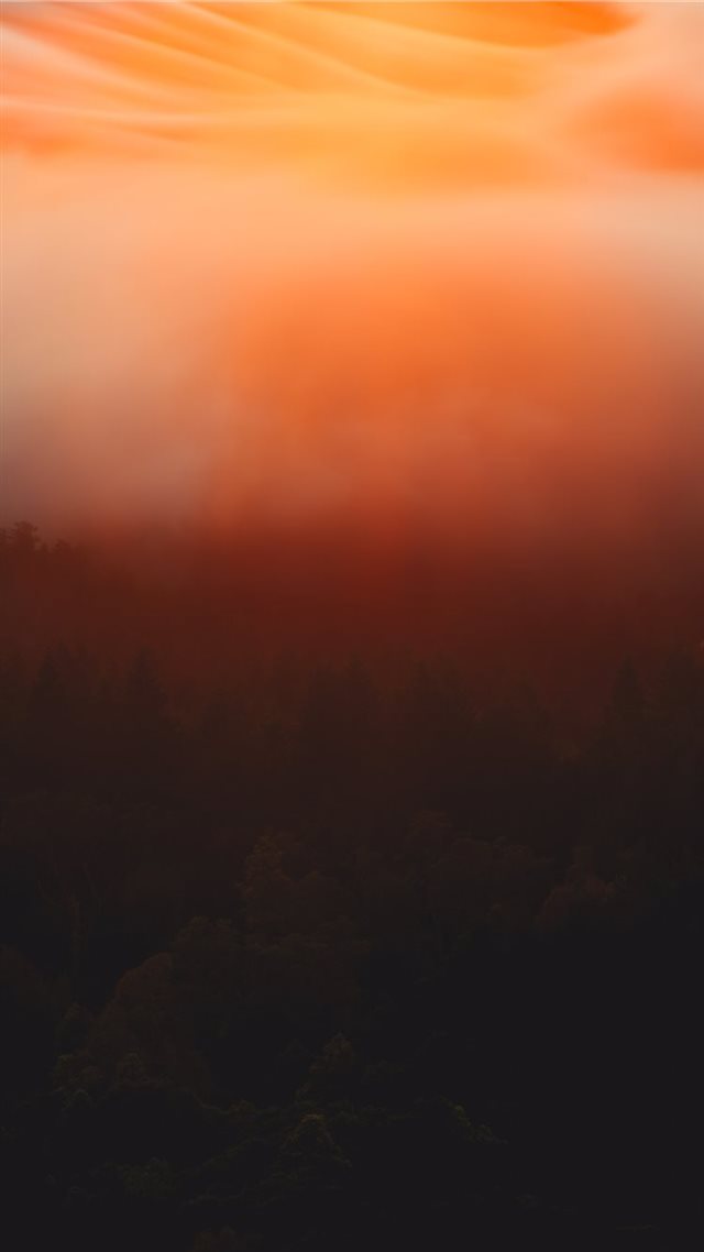 1080x1920 SYMPHONY OF LIGHT - fog iPhone 8 Wallpaper