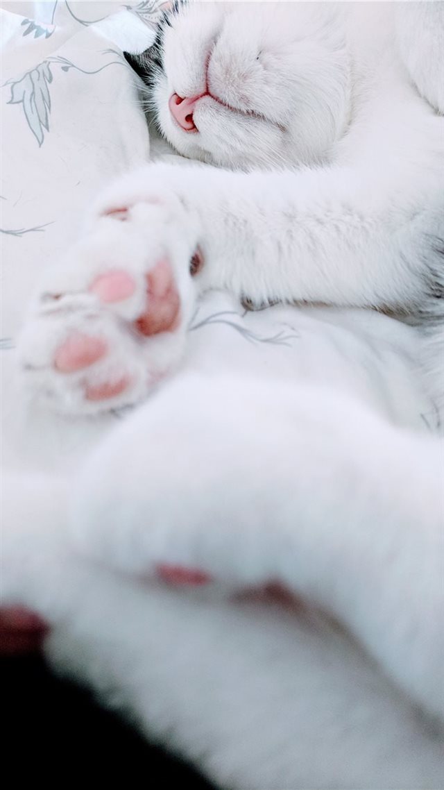 1080x1920 Pink Panther - vertical iPhone 8 Wallpaper