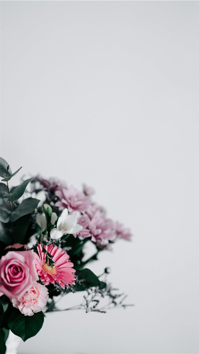 1080x1920 Flowers with blank space - pink iPhone 8 Wallpaper