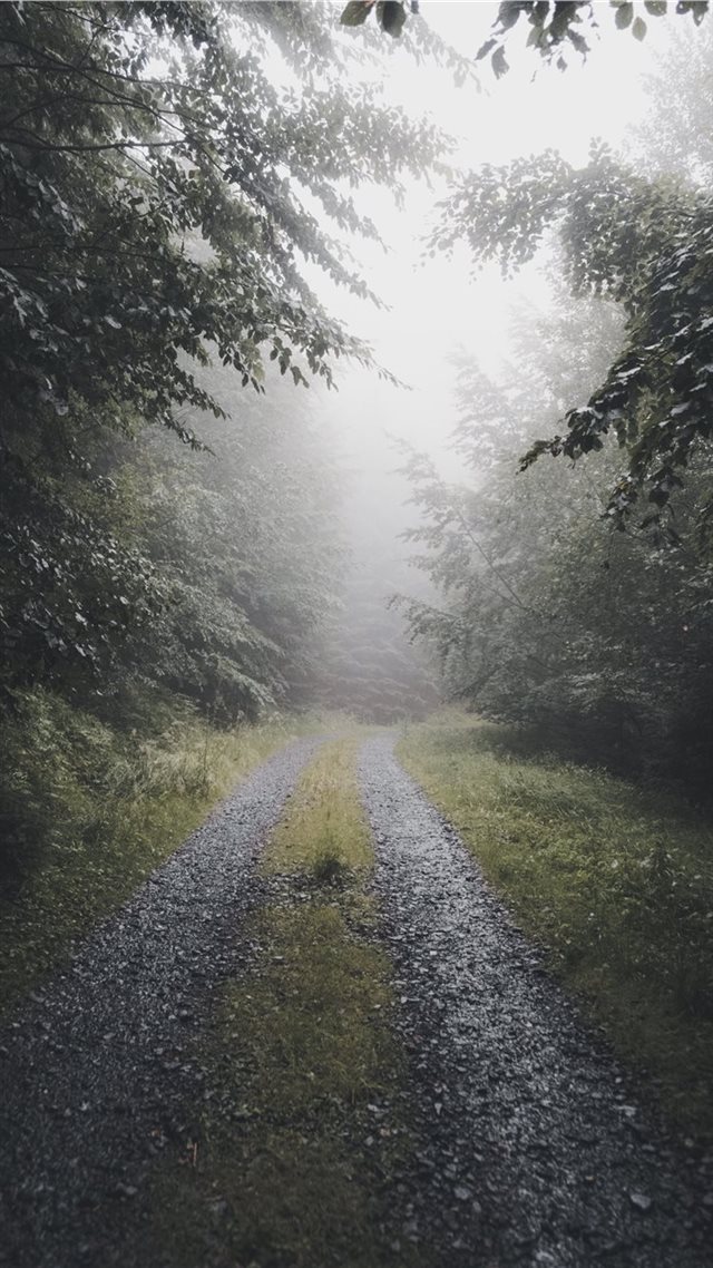 1080x1920 fog it - road iPhone 8 Wallpaper
