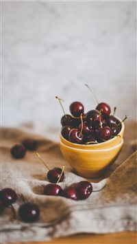 Brussels  Belgium wallpaper