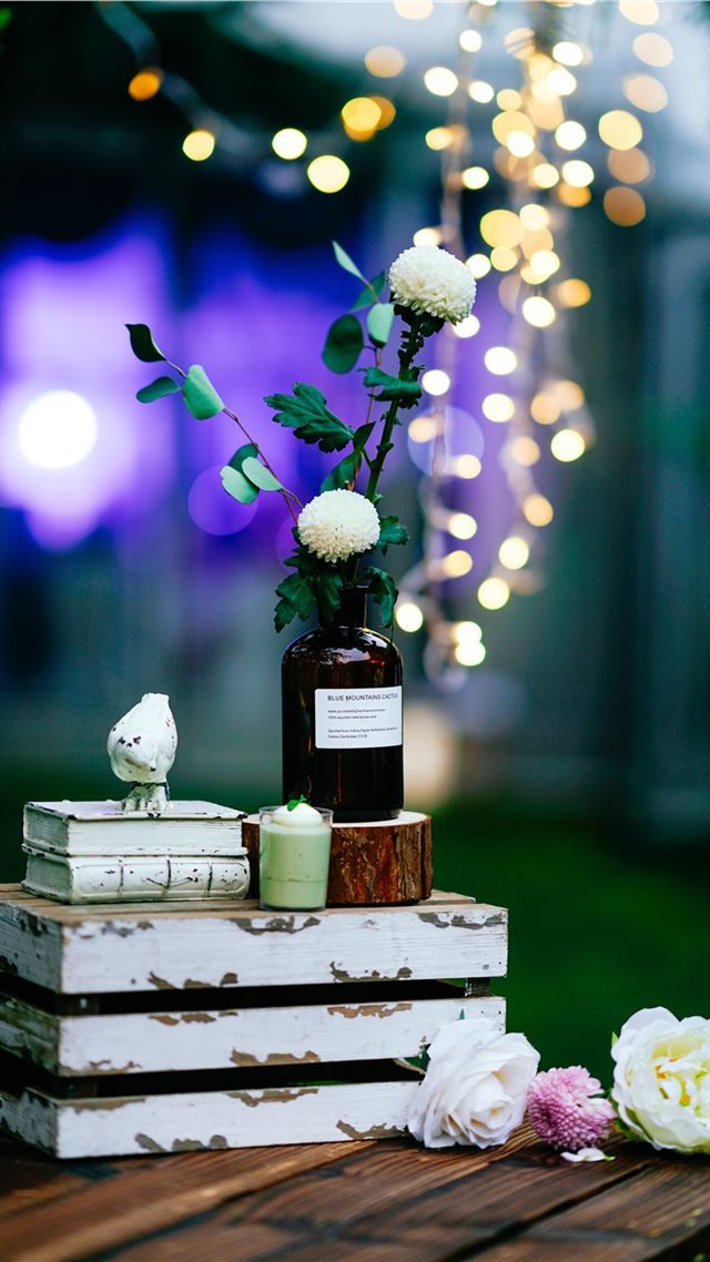 1080x1920 potted plant - decor iPhone 8 Wallpaper
