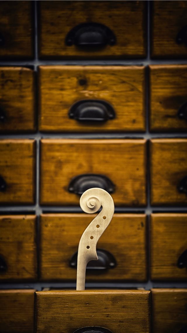 1080x1920 Violin head - music iPhone 8 Wallpaper