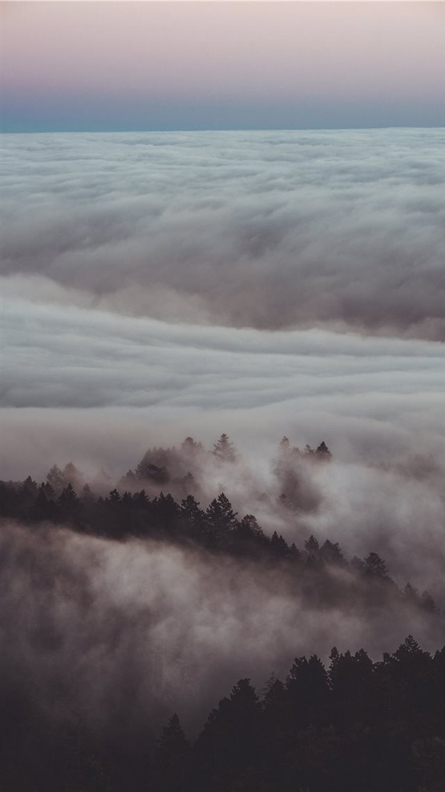 1080x1920 Mystery - tree iPhone 8 Wallpaper