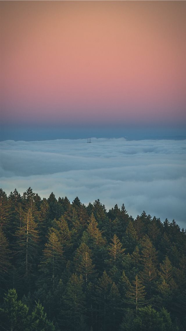 1080x1920 horizon - color iPhone 8 Wallpaper