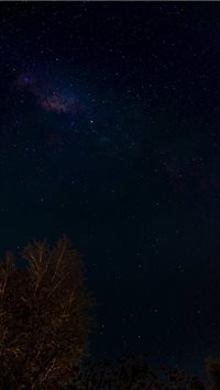 Noche del amigo wallpaper