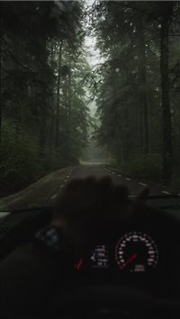 Rod trip to Rarau mountains  Romania ! wallpaper