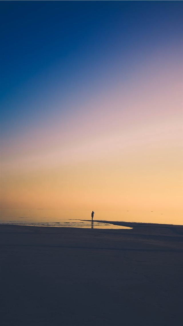 1080x1920 Searching  - silhouette iPhone 8 Wallpaper
