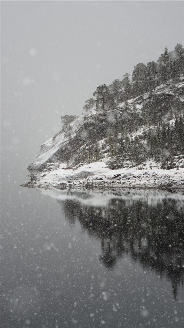 1080x1920 All in just a magic moment  - forest iPhone 8 Wallpaper