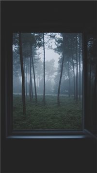 Lost in the woods wallpaper