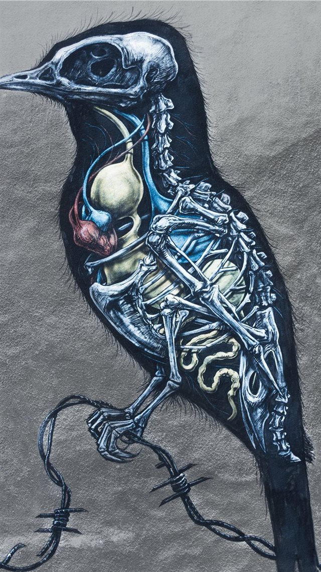 1080x1920 ROA’s mural  part one - wall iPhone 8 Wallpaper