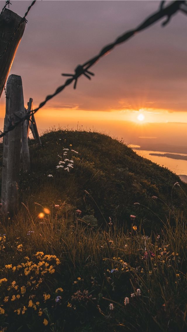 1080x1920 panoramic mountain view - fence iPhone 8 Wallpaper