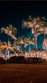 The Palms at hard rock wallpaper