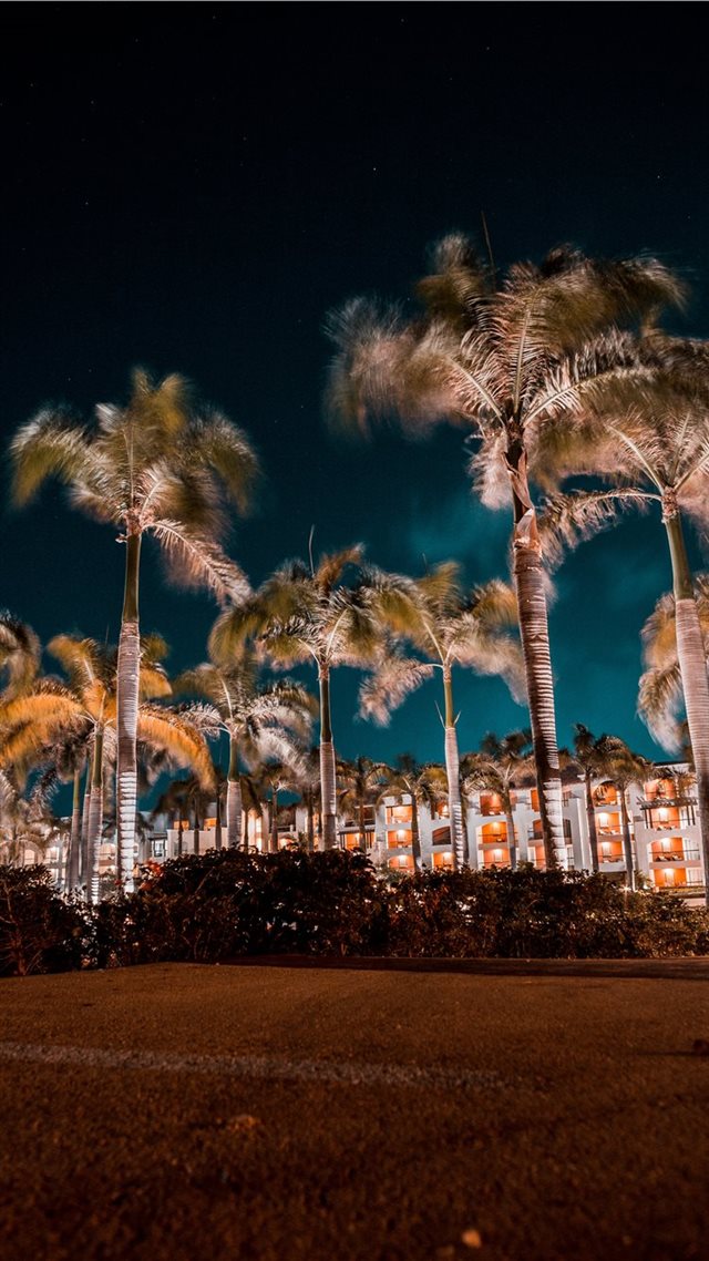 1080x1920 The Palms at hard rock - astrophotography iPhone 8 Wallpaper
