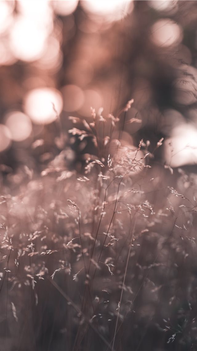 1080x1920 light - field iPhone 8 Wallpaper