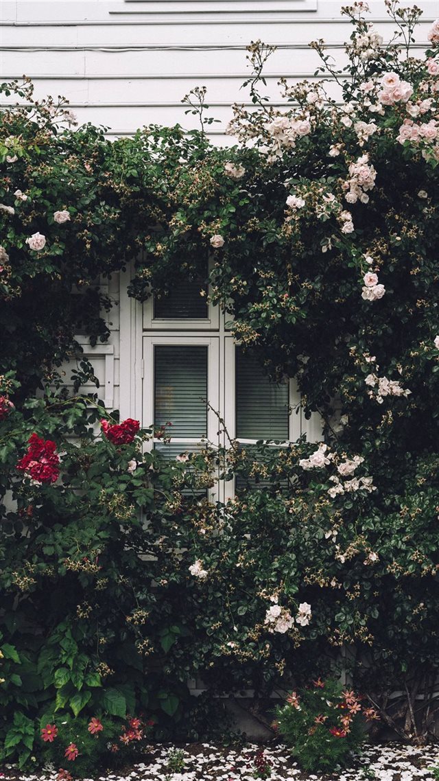 1080x1920 Summer Window - window iPhone 8 Wallpaper