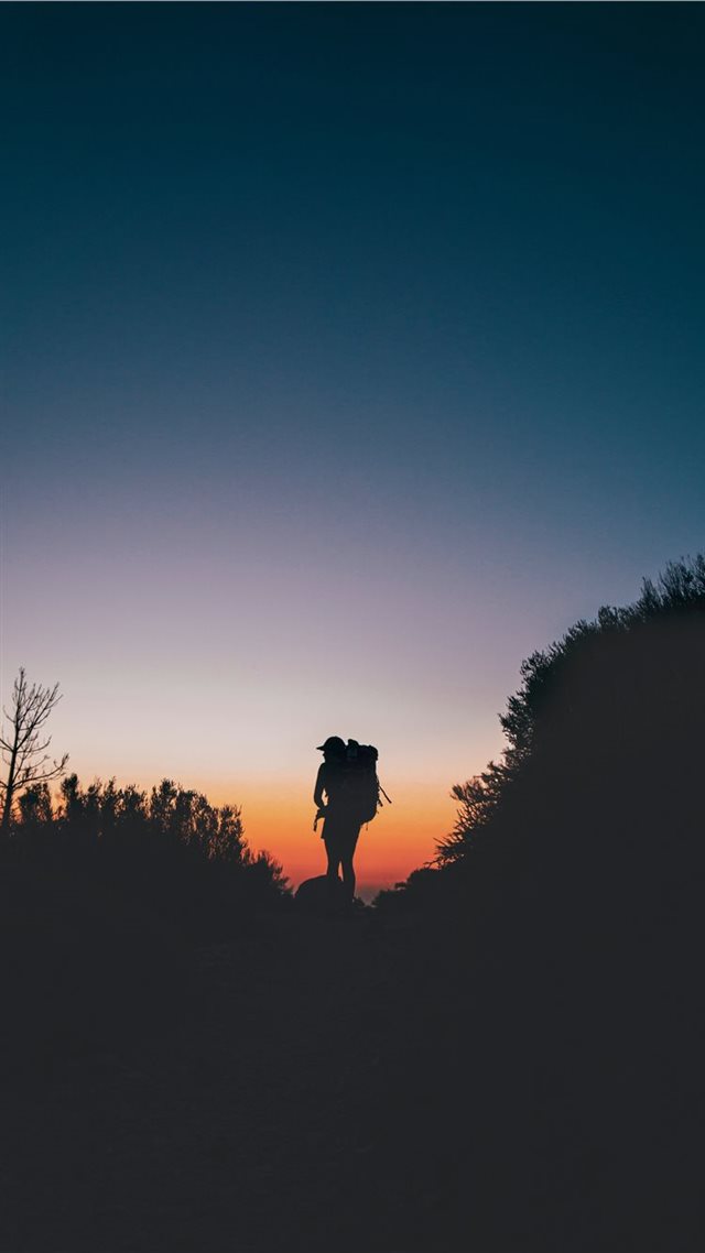 1080x1920 Last day on the trail - forest iPhone 8 Wallpaper