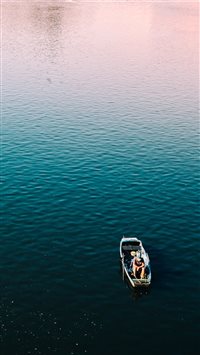 Morning Fish wallpaper