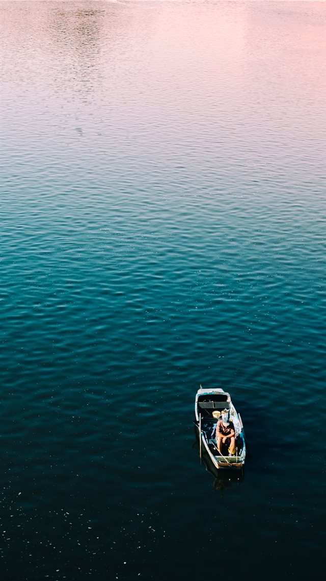 1080x1920 Morning Fish - morning iPhone 8 Wallpaper