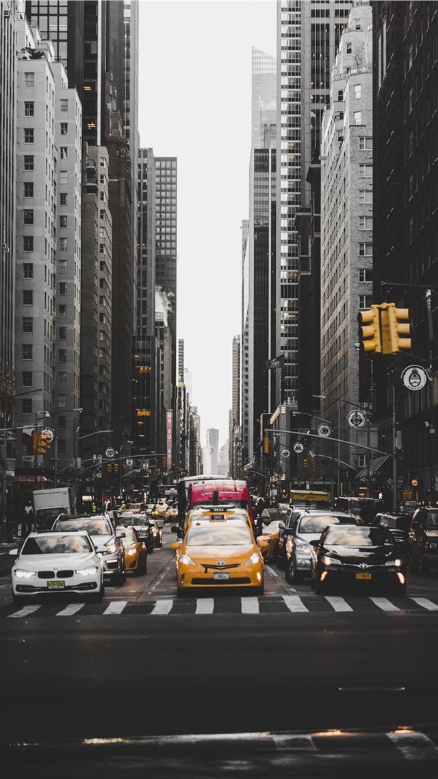 1080x1920 Central Park  New York  United States - new york iPhone 8 Wallpaper