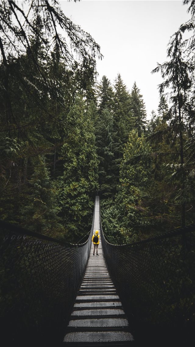 1080x1920 Lynn Valley Park  North Vancouver  Canada - green iPhone 8 Wallpaper