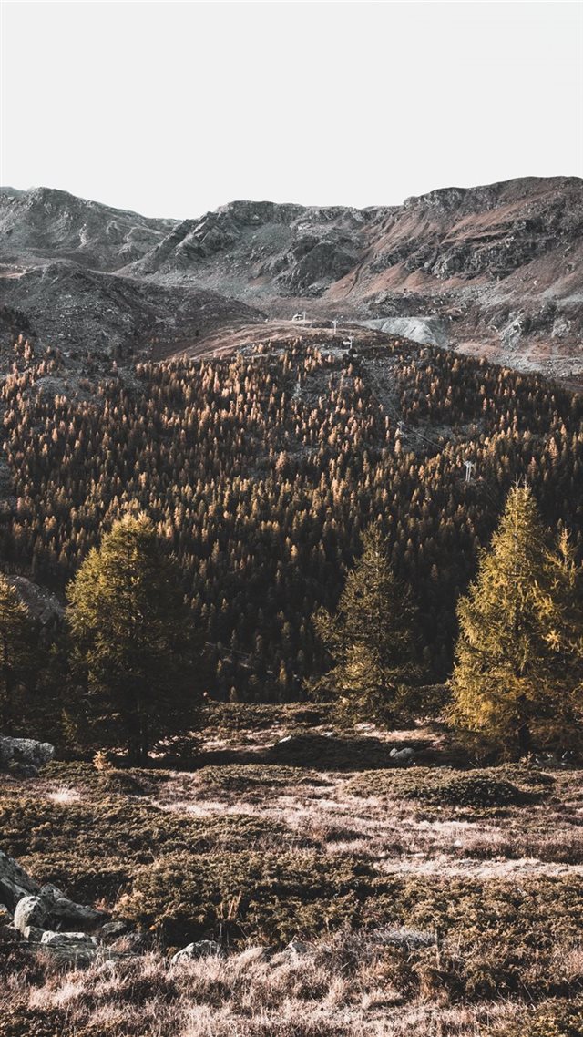 1080x1920 Zermatt  Switzerland - woodland iPhone 8 Wallpaper